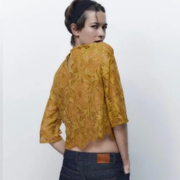 Zara Womens Mustard Lace Crop Top - Three-Quarter Sleeve Size XL - Picture 3 of 11
